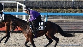 ホットハートビートなど、先週のゲート試験/栗東トレセンニュース