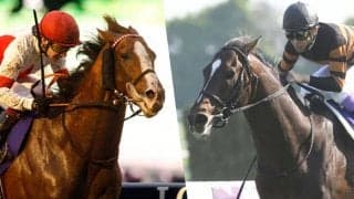 スワーヴリチャードは200万円→1500万円、キタサンブラックは倍増 社台SSが2024年度の種付料＆けい養馬を発表