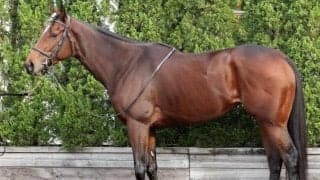 リバティアイランドは「間違いなく通用する」ジャパンCへ向け洗練された“超高品質な筋肉”