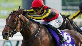 3冠牝馬リバティアイランドのV率は? 過去のジャパンC参戦牝馬から探る