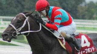 獲得総額は6億8000万円超 “GI未勝利の賞金王” がジャパンCに初参戦