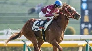 【京都2歳S予想オッズ】シンエンペラーが予想1番人気