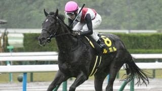 【京阪杯予想オッズ】ルガルが予想1番人気