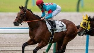 半姉はGI・2勝馬ショウナンパンドラ 同厩舎の弟が京都2歳S無敗V狙う