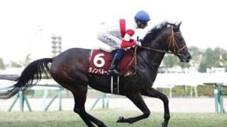 【ジャパンC展望】東京開催を締めくくる大一番、昨年不利に泣いたダノンベルーガに期待したい