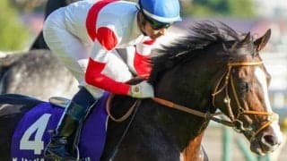 ダノンベルーガに追い風 昨年に続きジャパンCのGI未勝利馬V再現へ
