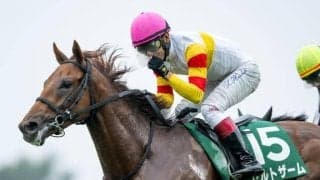 【兵庫ジュニアGP注目馬】中央・地方の素質馬が集結した2歳重賞