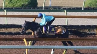 クラウンプライド、チャンピオンズC1週前追い切り速報/栗東トレセンニュース