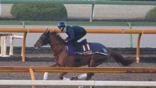 テーオーケインズ、チャンピオンズC1週前追い切り速報/栗東トレセンニュース