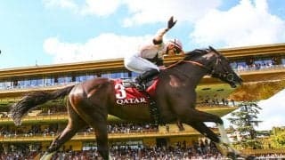 外国馬イレジンはダートコースで調整 J.ゴーヴァン師「枠順は真ん中あたりだと良いですね」