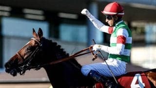 香港国際競走にレーベンスティールやナミュールなど 日本馬14頭が招待受諾