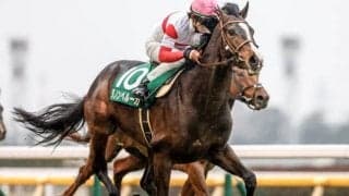 【ジャパンC予想】AIの注目馬は人気の盲点!? 2強ムードの中でも強気に狙える一頭とは