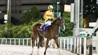 【浦和記念】ミトノオーは2枠2番へ