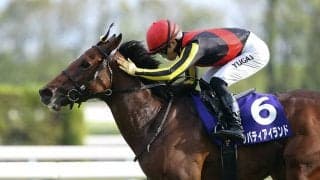 世界が注目のジャパンＣ　リバティアイランドは「世界一」のイクイノックスに勝てるか