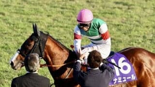 2023香港国際競走 日本馬が出走する4競走の選出馬