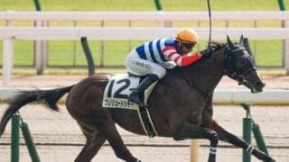 シチー軍団が10年ぶりのJRA重賞制覇なるか “期待の星”が京都2歳Sにチャレンジ