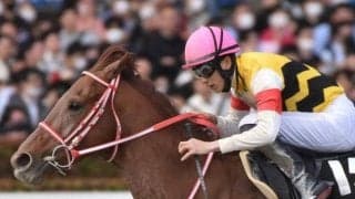 【浦和記念注目馬】実力伯仲の好メンバー集結 8年ぶりの地方馬Vか、今年も中央馬が実力見せるか