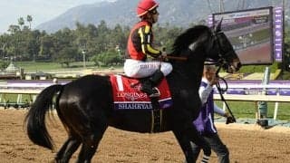 シャフリヤールがアメリカから香港に到着 陣営「明日から調整」