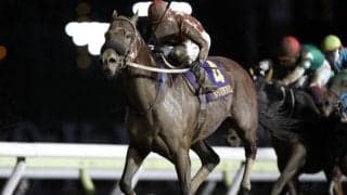 【浦和記念】重賞4勝馬セイカメテオポリス 笹川翼騎手から今野忠成騎手に変更