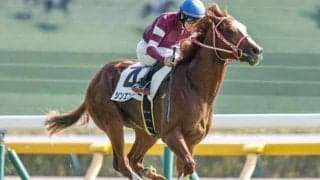 【京都2歳S出走馬・騎手確定】シンエンペラー＆J.モレイラ騎手、サトノシュトラーセ＆川田将雅騎手など14頭