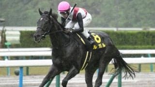 【京阪杯出走馬・騎手確定】ルガル＆西村淳也騎手、トウシンマカオ＆菅原明良騎手など18頭