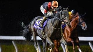 【浦和・浦和記念結果】ディクテオンが重賞初制覇！ 代打騎乗の本田正重騎手がV導く