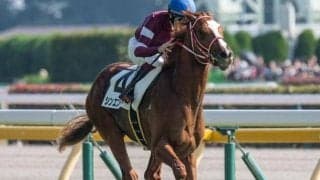 矢作芳人厩舎の総額7億円対決！  京都2歳Sは良血馬2頭に要注目