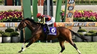 【ジャパンカップ】出走馬の調教後の馬体重