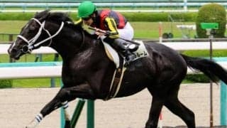 京都2歳Sはノーザンファーム生産馬を買えば儲かる!? 近9年の複勝率は約60％