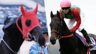 ロッキータイガーやコスモバルクなど 地方馬のジャパンC挑戦史