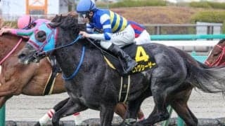 ビッグシーザーが京阪杯で狙うファインモーション超えの記録とは？