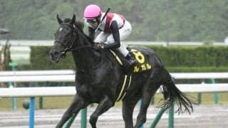 【京阪杯枠順確定】ルガルは5枠10番、トウシンマカオは8枠17番