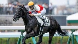 【京都2歳S枠順確定】シンエンペラーは4枠5番、パワーホールは4枠6番