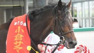 小倉SJ覇者テーオーソクラテスが登録抹消 今後は小倉競馬場で乗馬に