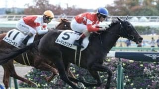 【新馬/東京4R】ルメール騎乗、ルージュサリナスが鮮やかな差し切り