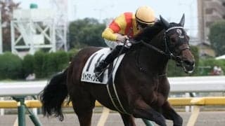 【新馬/東京5R】マーカンド騎乗、ジャスティンミラノがデビューV