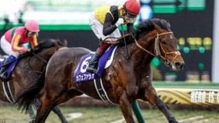 GI/JpnI・3勝のカフェファラオが抹消 今後はアロースタッドで種牡馬入り