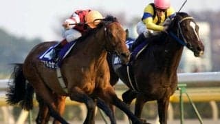 ジャパンC思い出の“海外からの刺客”は？ 昭和の名勝負に今もなお称賛の声