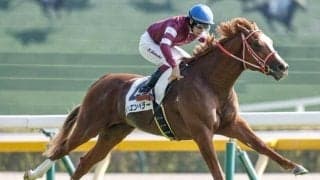 【京都2歳S予想】未完成な2歳戦ならでは!? 勝利を呼び込むためのローテーション傾向