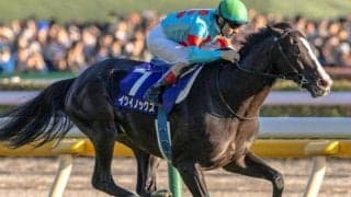 ジャパンCは2強で決まらない？ イクイノックス軸のオススメ馬券をデータで考察