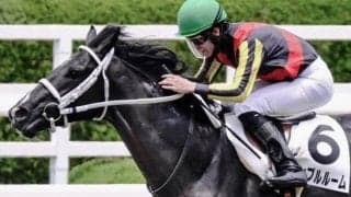 土曜は2場で良馬場 京都芝はパワーが生きる“ダート血統”を信頼