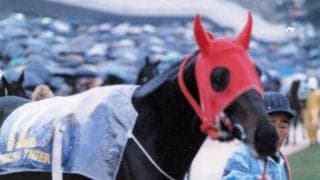 ジャパンCで世界を超え、ルドルフに迫った「地方からの刺客」 レジェンドが語る“世界への挑戦”