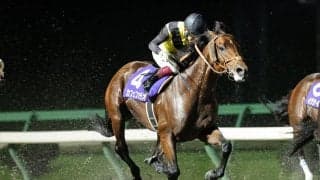 カフェファラオが競走馬登録抹消