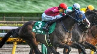 【阪神JF想定馬・騎手】ボンドガールやコラソンビートなど21頭