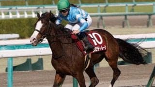 【ステイヤーズS想定馬・騎手】メロディーレーンやマイネルウィルトスなど18頭