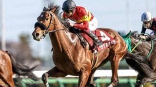 【チャレンジC想定馬・騎手】ベラジオオペラやボッケリーニなど14頭