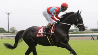 ジャパンＣで穴党記者が挙げた伏兵２頭　２強に勝つために...「先行馬を狙ってみるのも面白い」理由