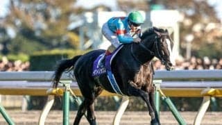 【ジャパンC予想】イクイノックスに黄色信号!? 基準値を満たしていない歴史的事実