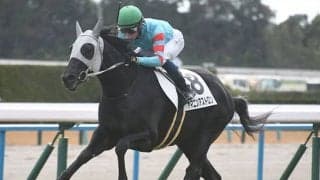 【京都5R新馬戦結果】ディーマジェスティ産駒のヤマニンアストロンが押し切ってデビューV！