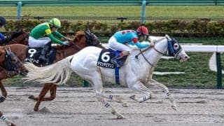 【カトレアS結果】白毛のアマンテビアンコが差し切って初オープン勝利